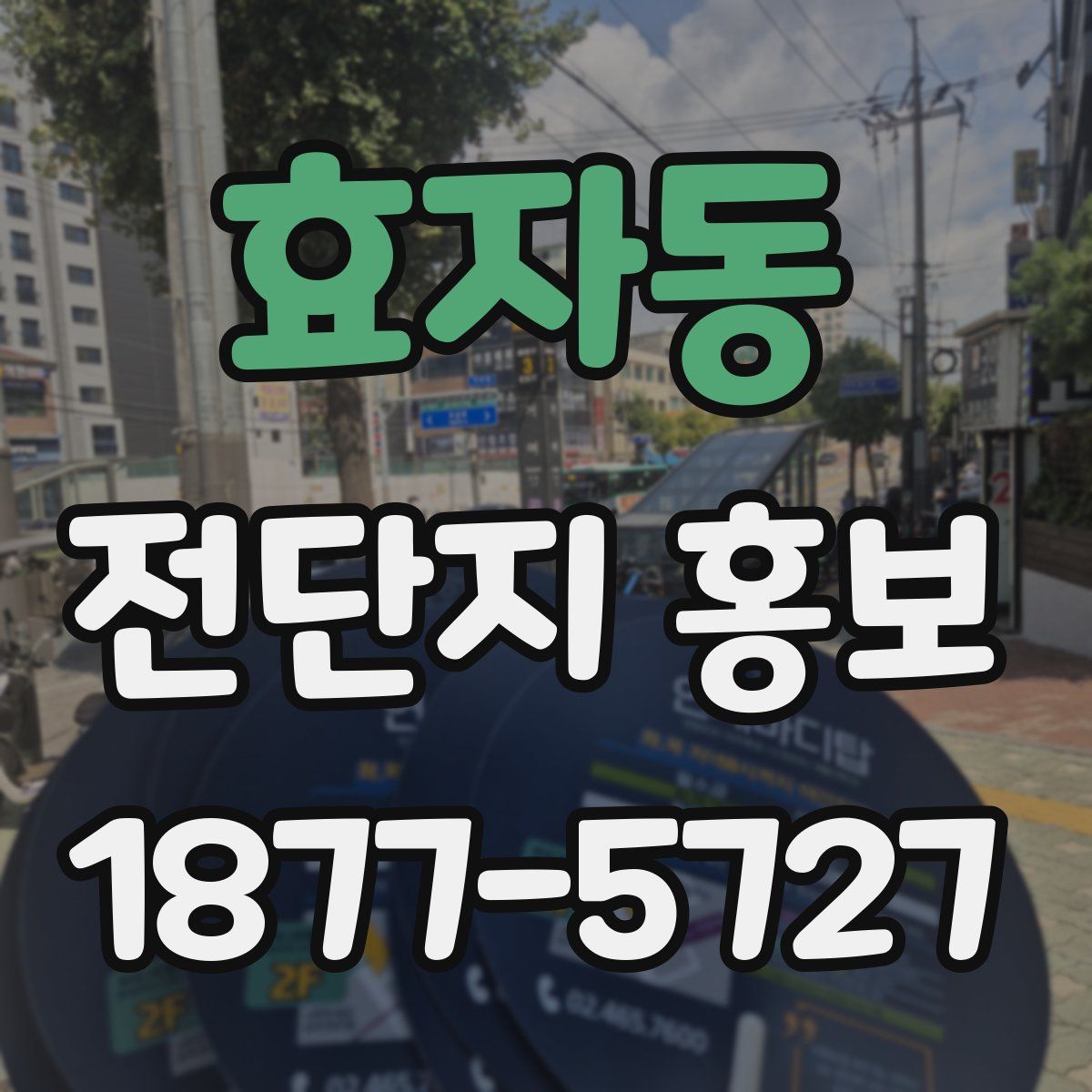 효자동 전단지 홍보