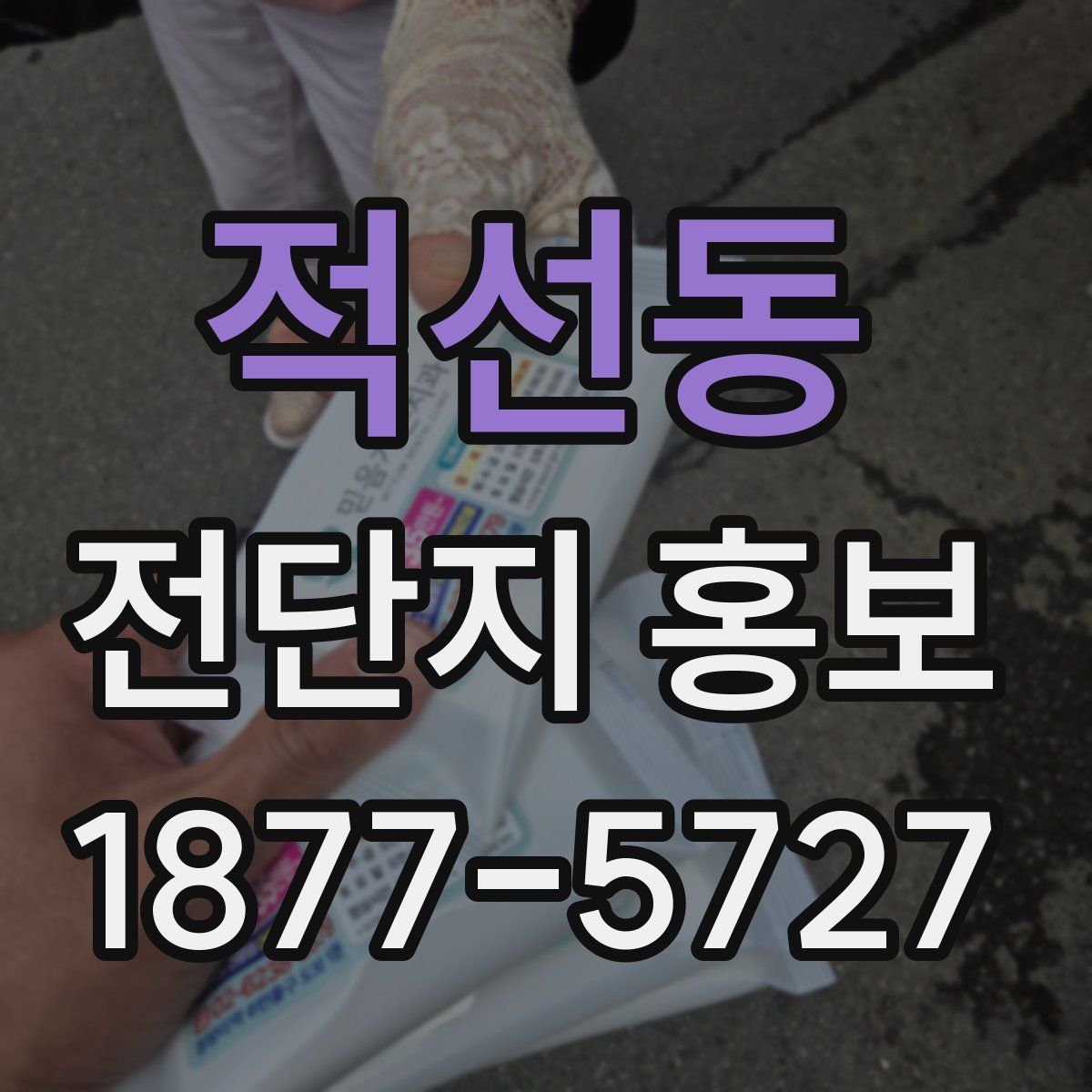 적선동 전단지 홍보