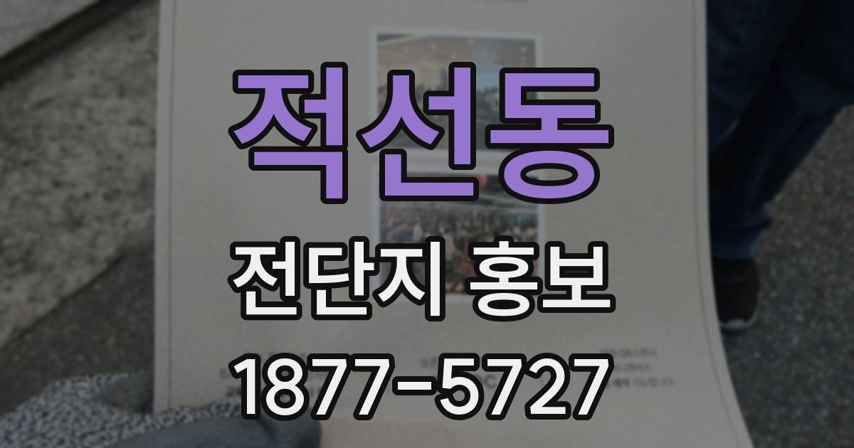 적선동 전단지 홍보