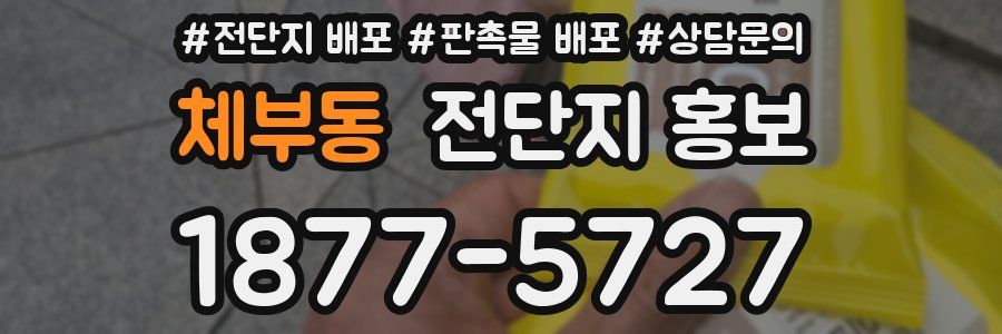 체부동 전단지 홍보