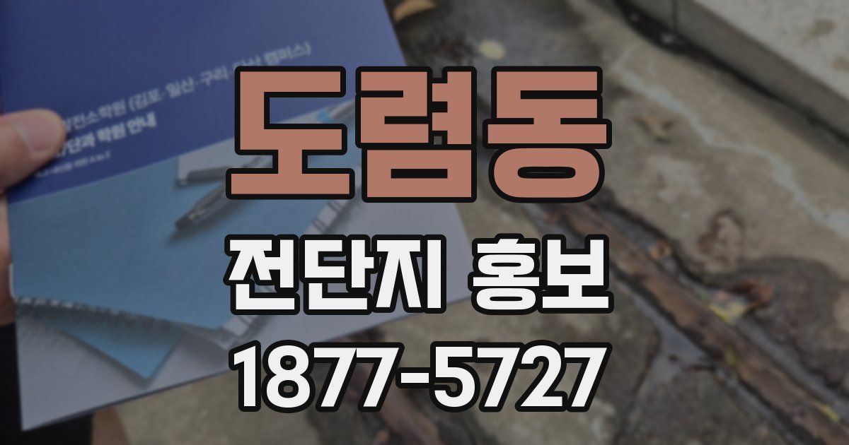 도렴동 전단지 홍보