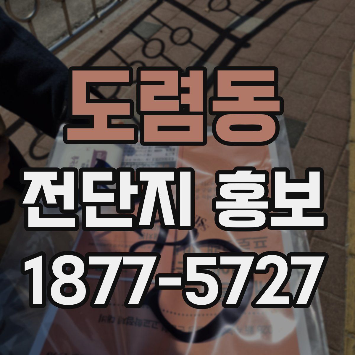 도렴동 전단지 홍보
