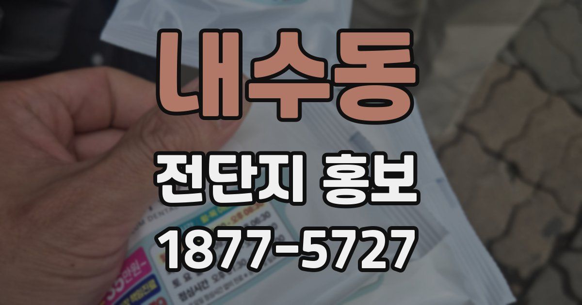 내수동 전단지 홍보