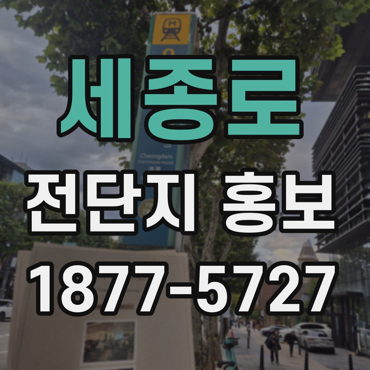 세종로 전단지 홍보