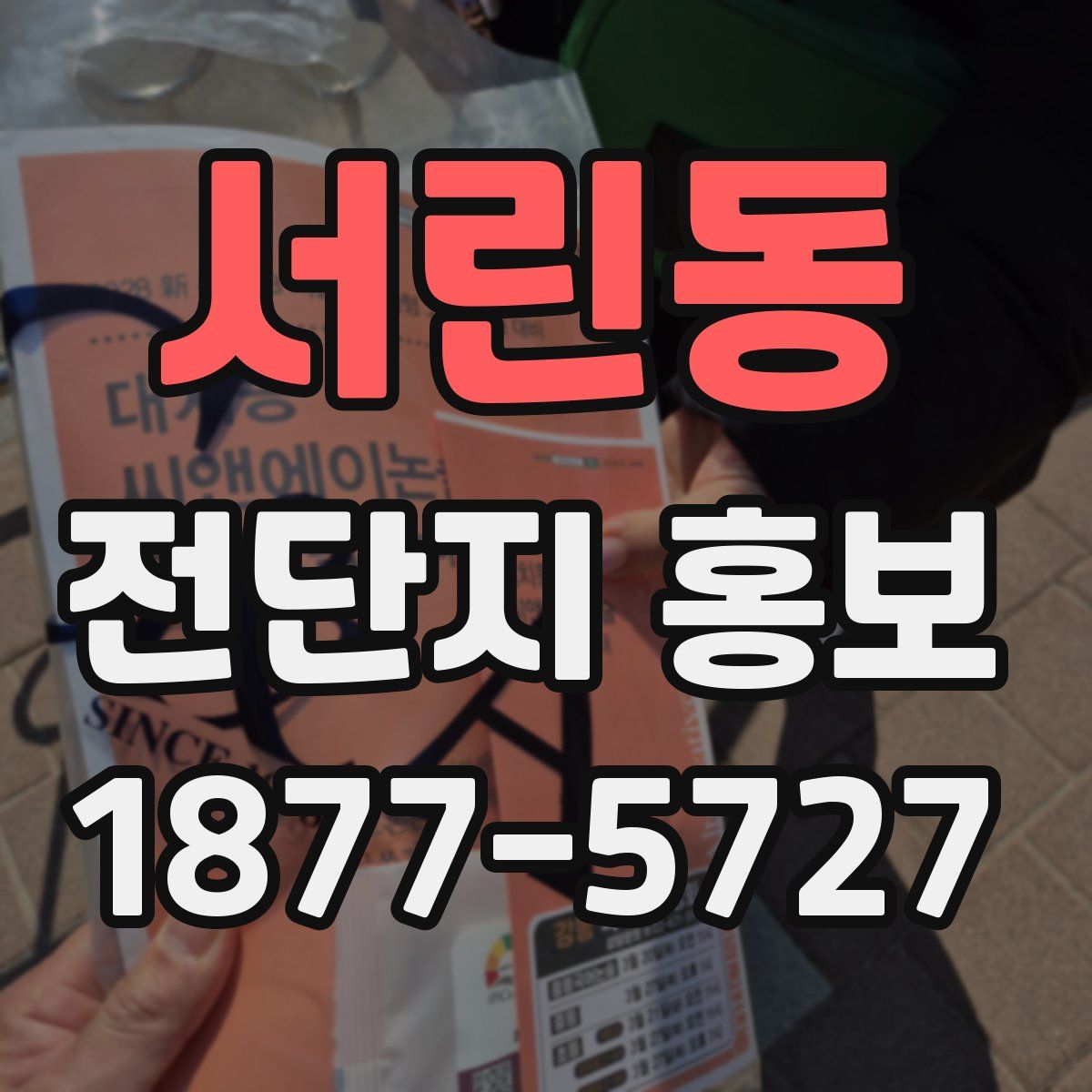서린동 전단지 홍보