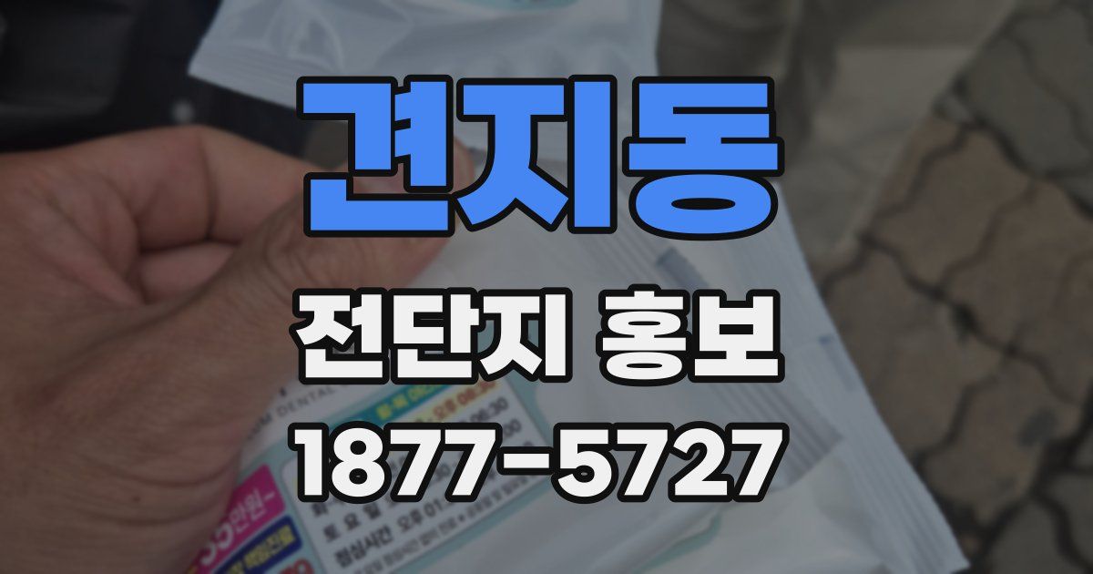 견지동 전단지 홍보