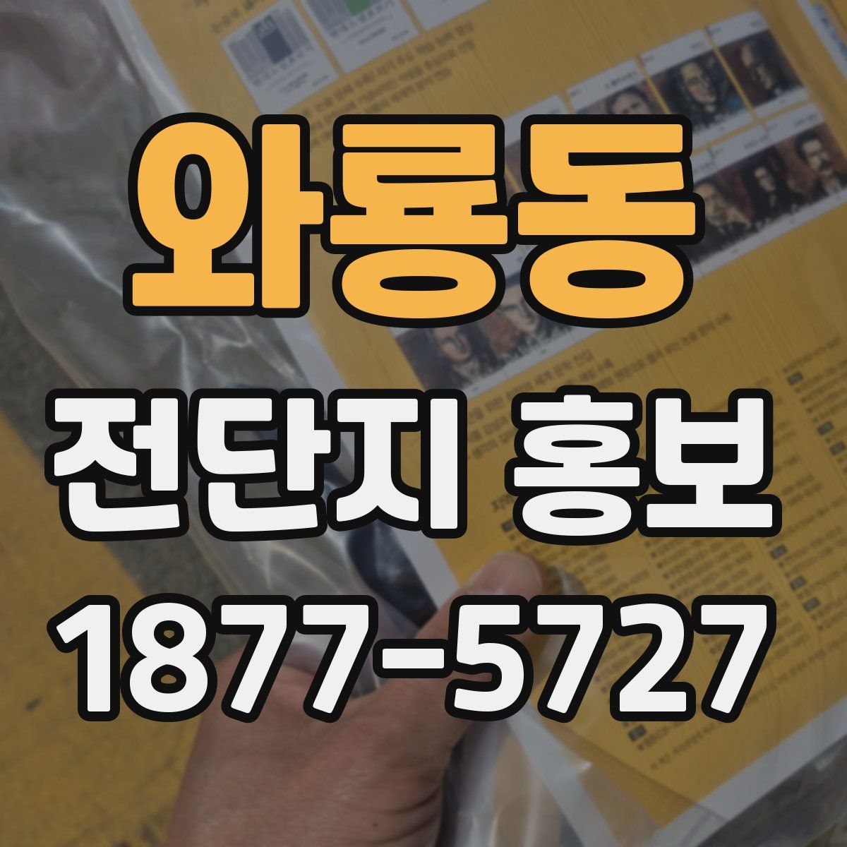 와룡동 전단지 홍보