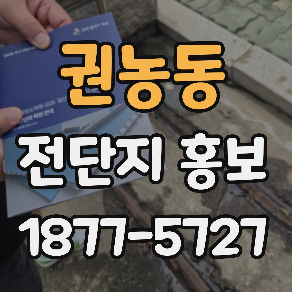 권농동 전단지 홍보