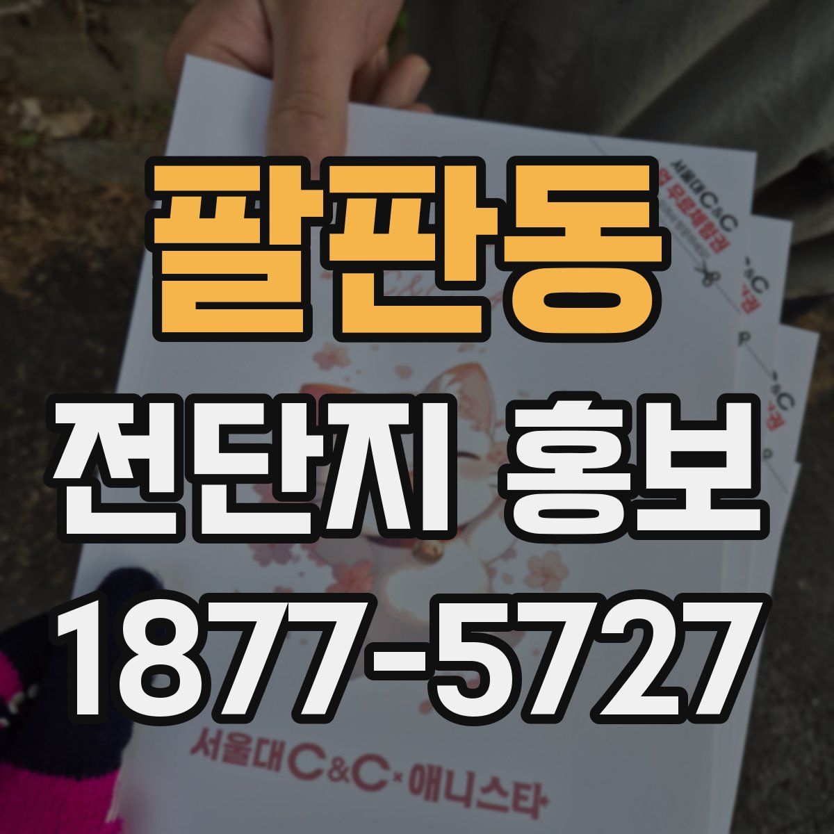 팔판동 전단지 홍보