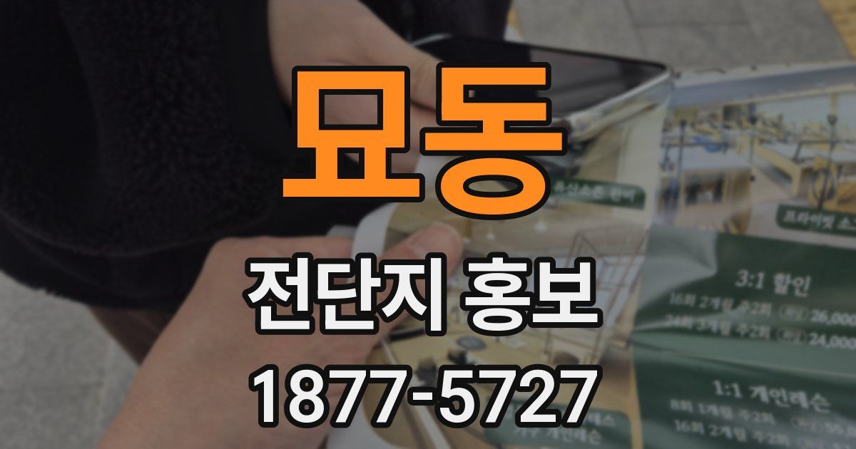 묘동 전단지 홍보