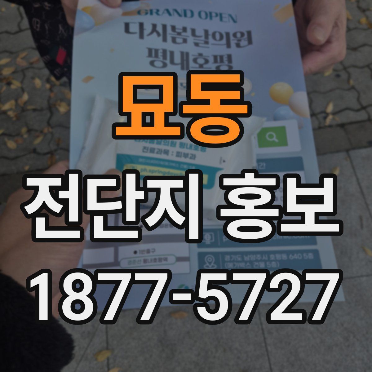 묘동 전단지 홍보