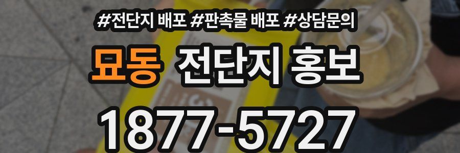 묘동 전단지 홍보
