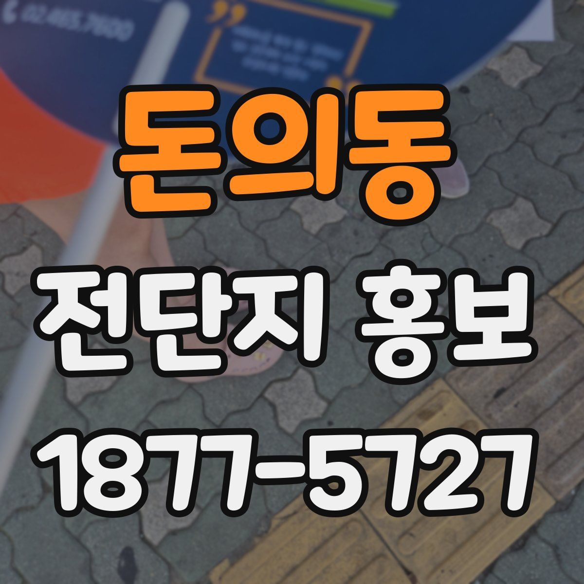 돈의동 전단지 홍보