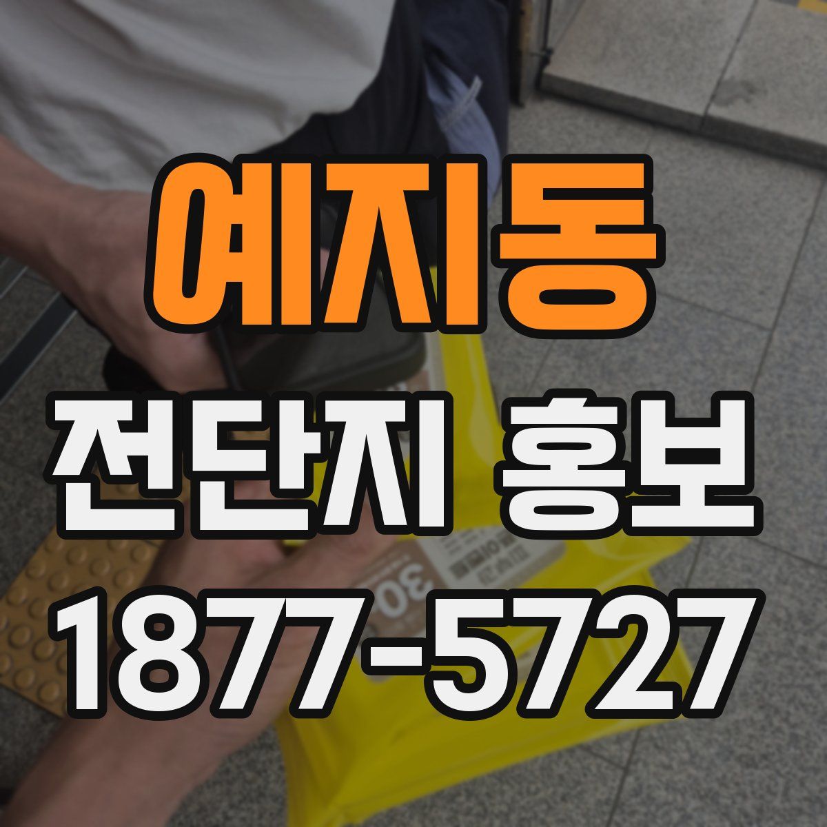 예지동 전단지 홍보
