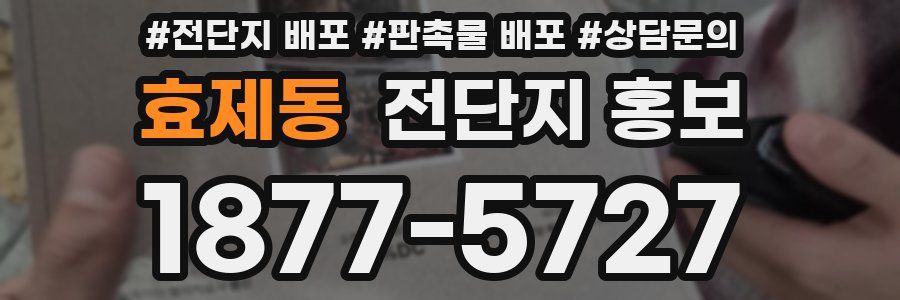 효제동 전단지 홍보