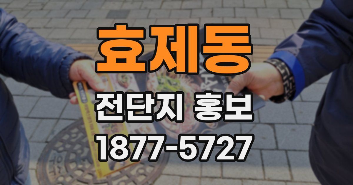 효제동 전단지 홍보