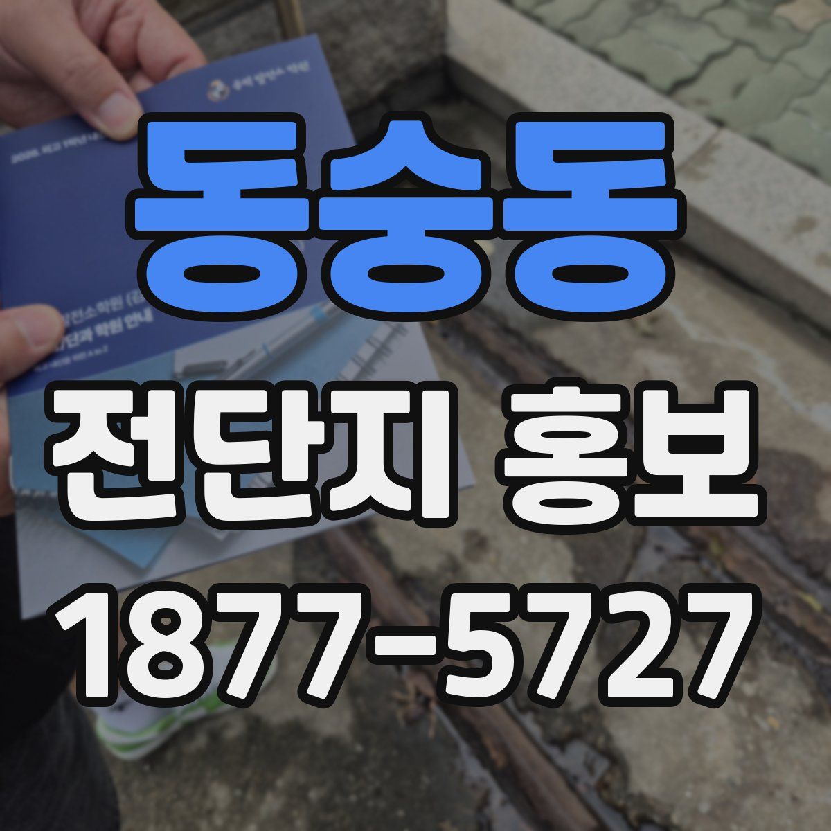 동숭동 전단지 홍보
