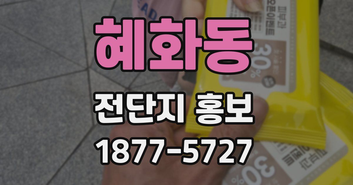 혜화동 전단지 홍보