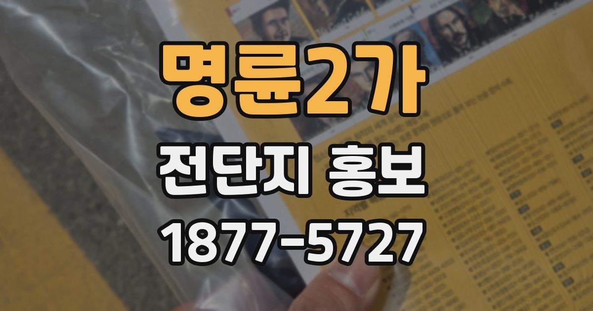 명륜2가 전단지 홍보