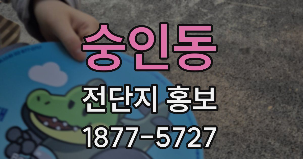 숭인동 전단지 홍보