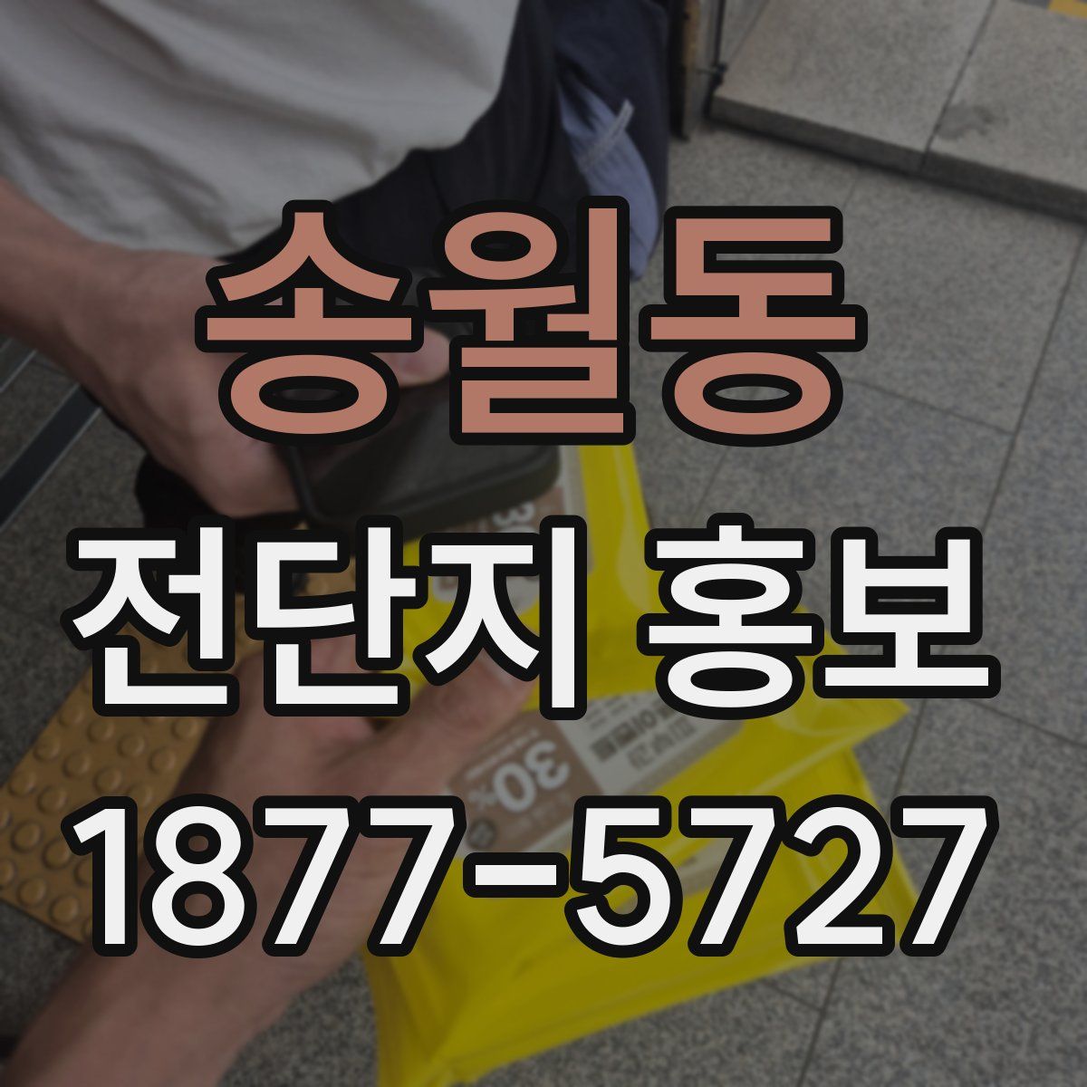 송월동 전단지 홍보