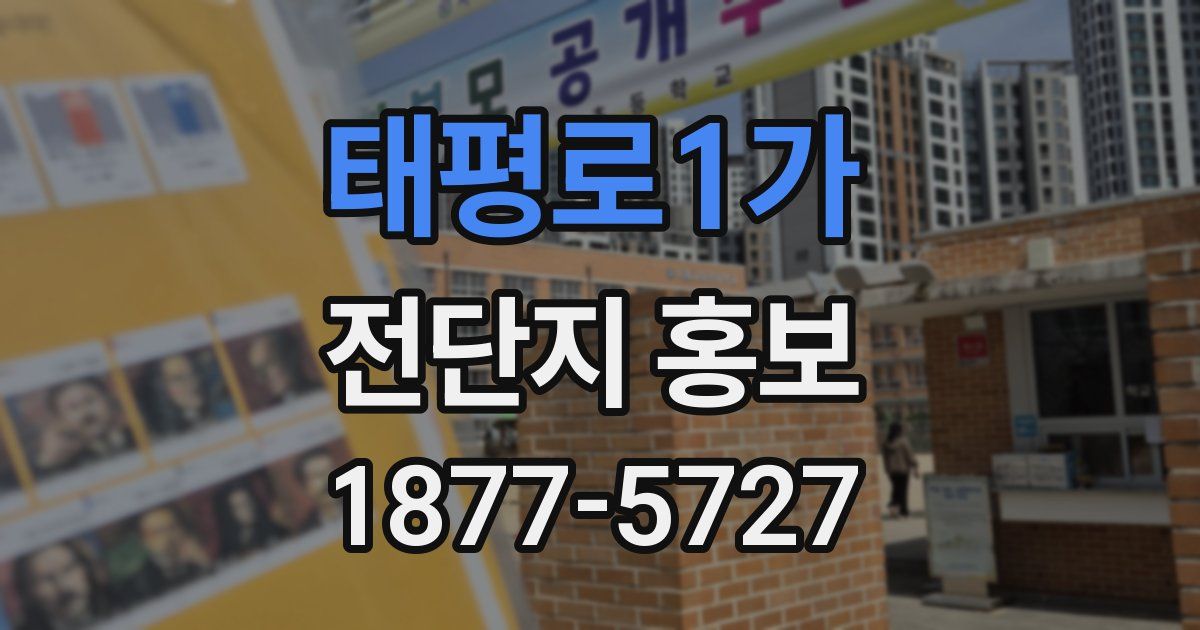 태평로1가 전단지 홍보