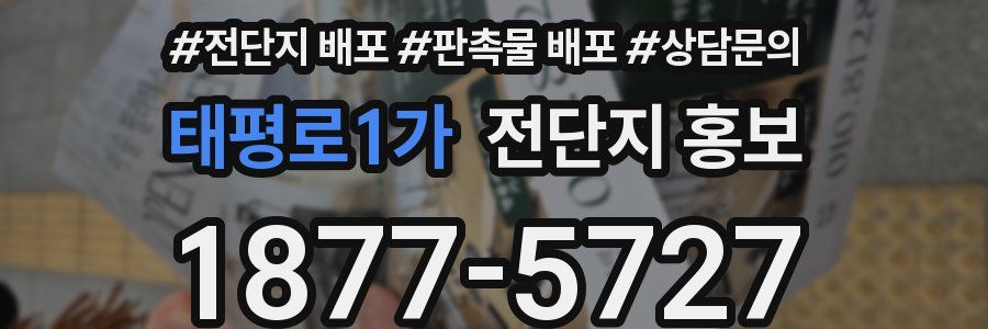 태평로1가 전단지 홍보