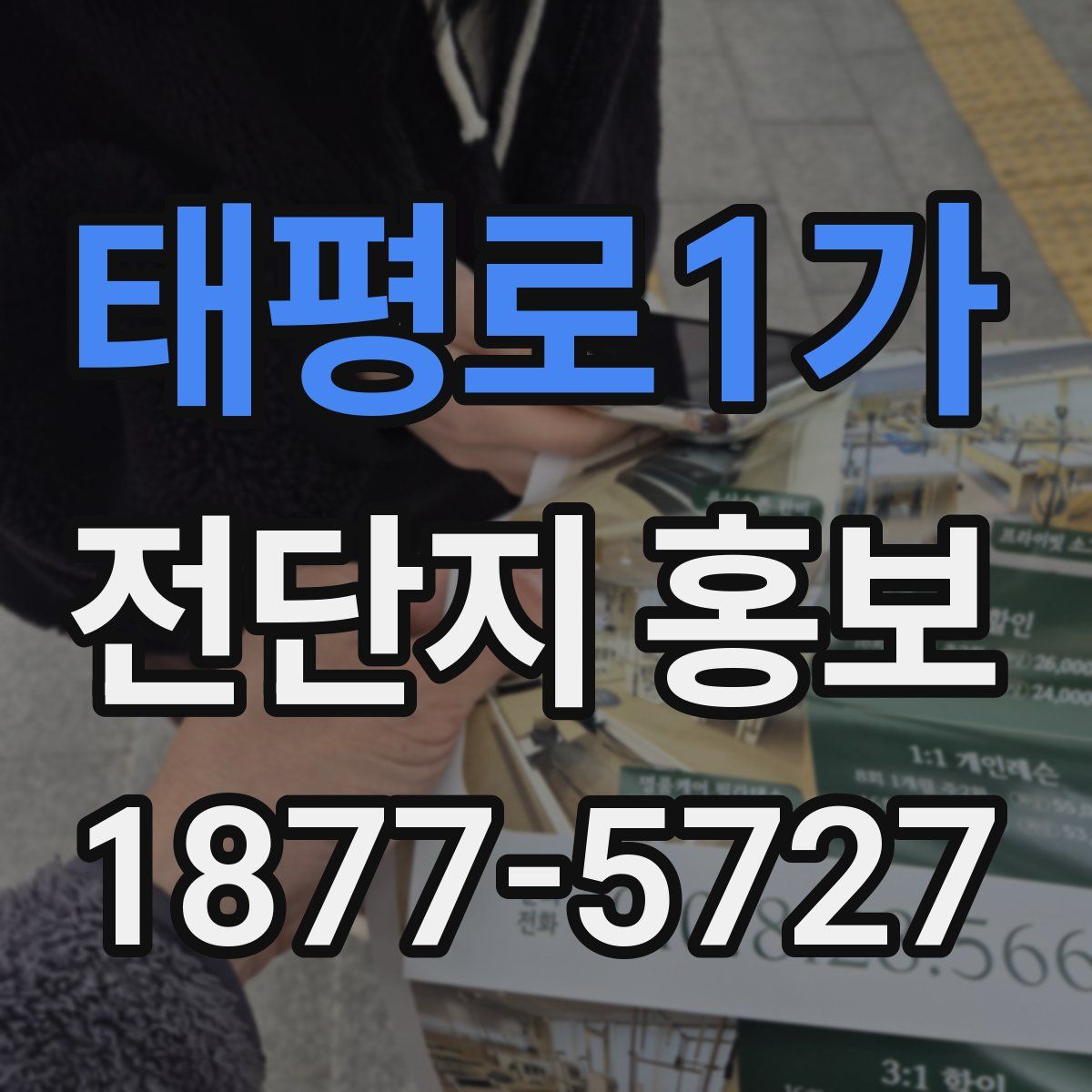 태평로1가 전단지 홍보