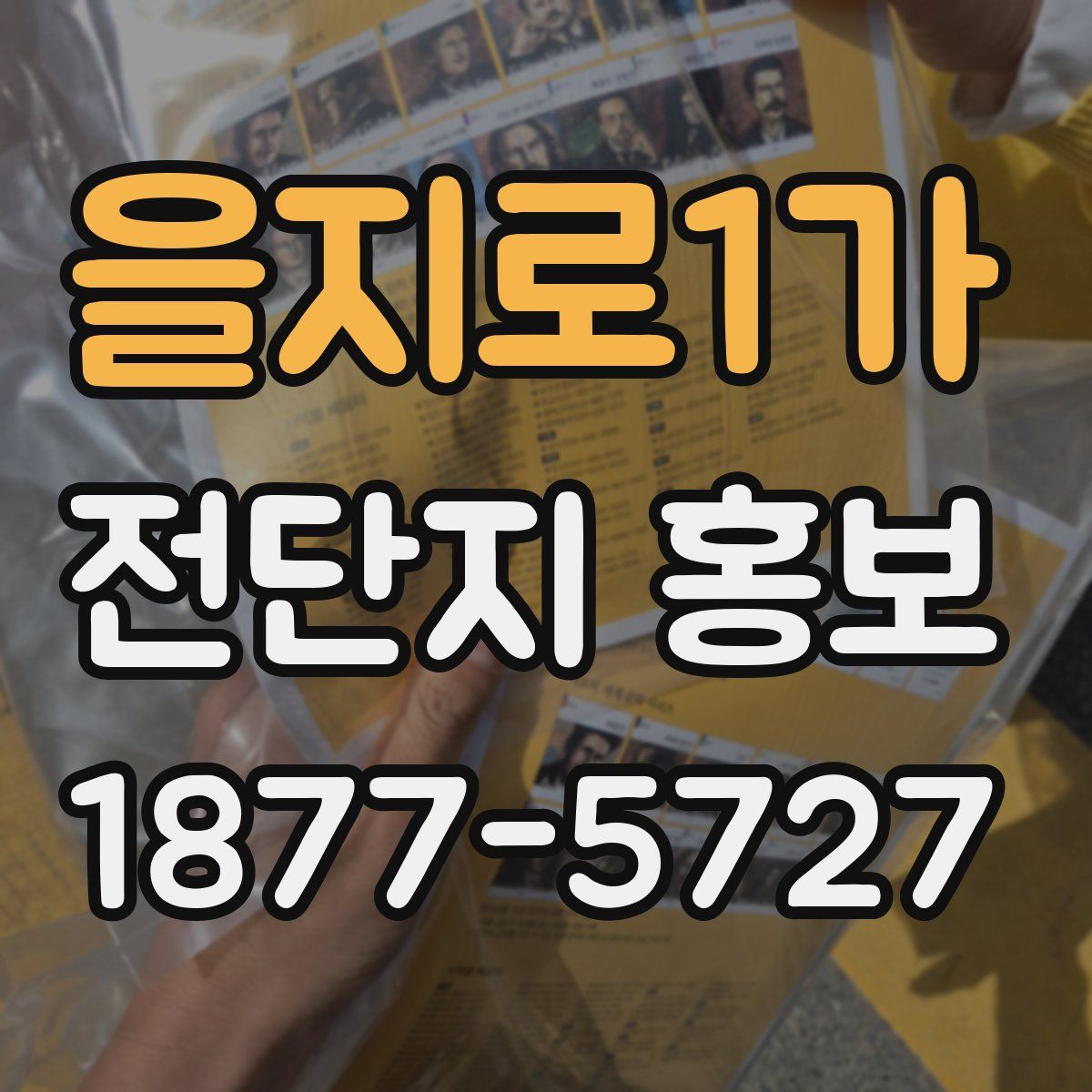 을지로1가 전단지 홍보