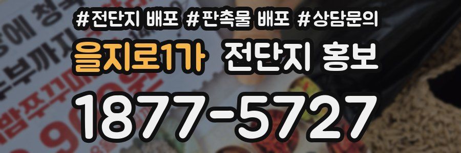 을지로1가 전단지 홍보