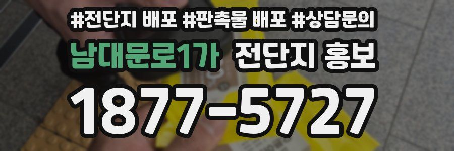 남대문로1가 전단지 홍보