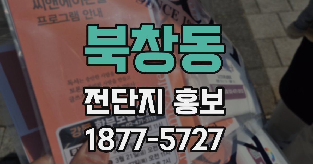 북창동 전단지 홍보