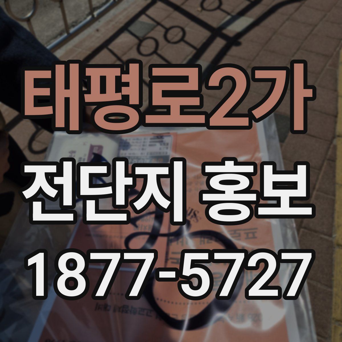 태평로2가 전단지 홍보