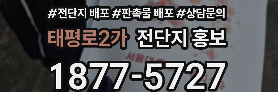 태평로2가 전단지 홍보