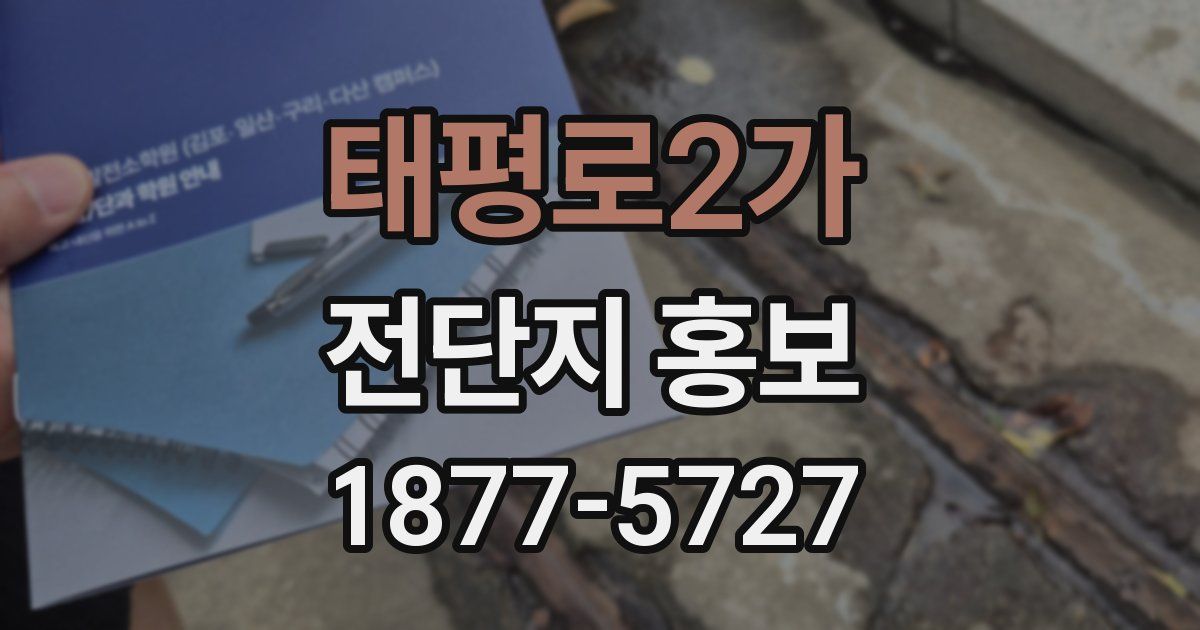태평로2가 전단지 홍보