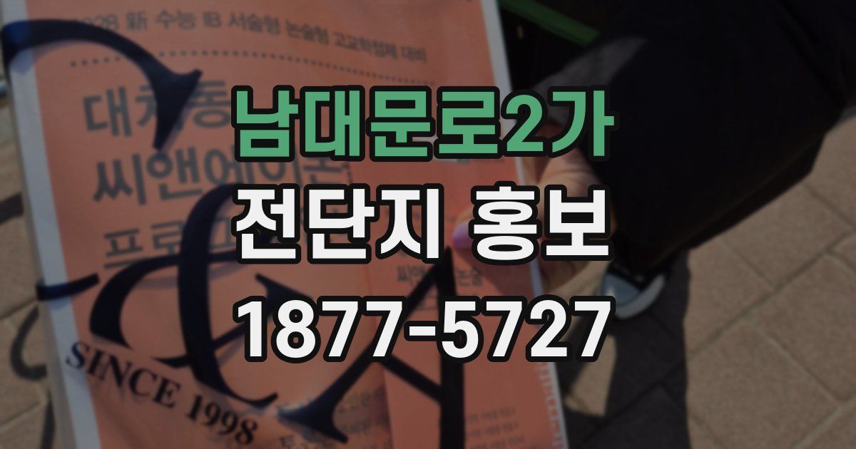 남대문로2가 전단지 홍보