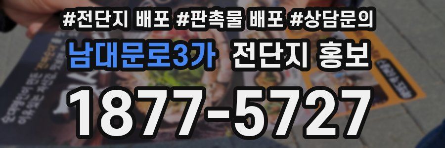 남대문로3가 전단지 홍보