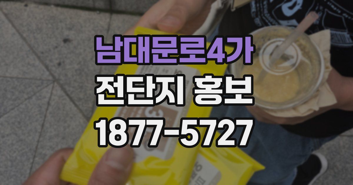 남대문로4가 전단지 홍보