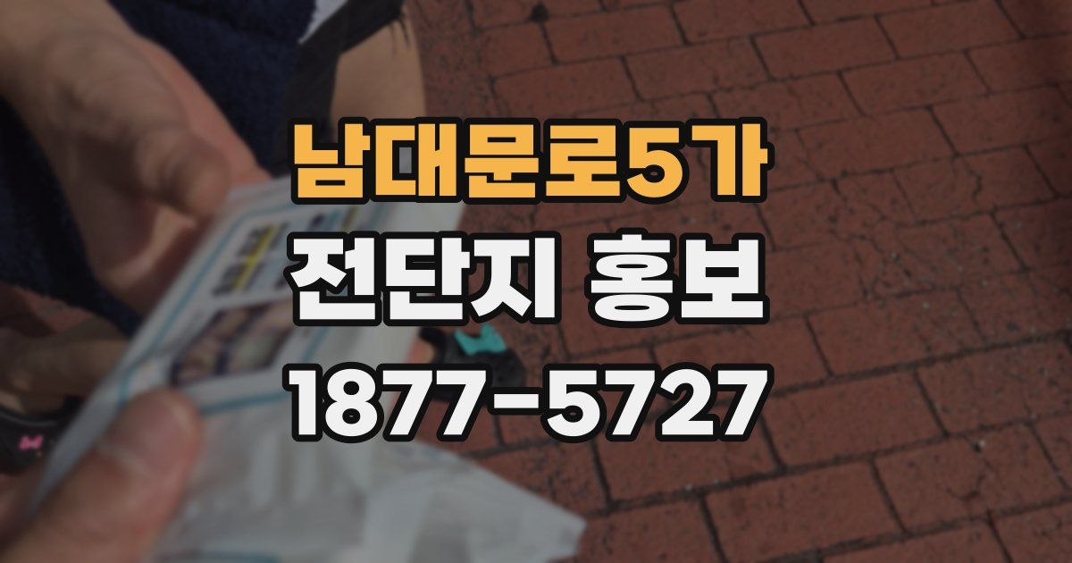 남대문로5가 전단지 홍보