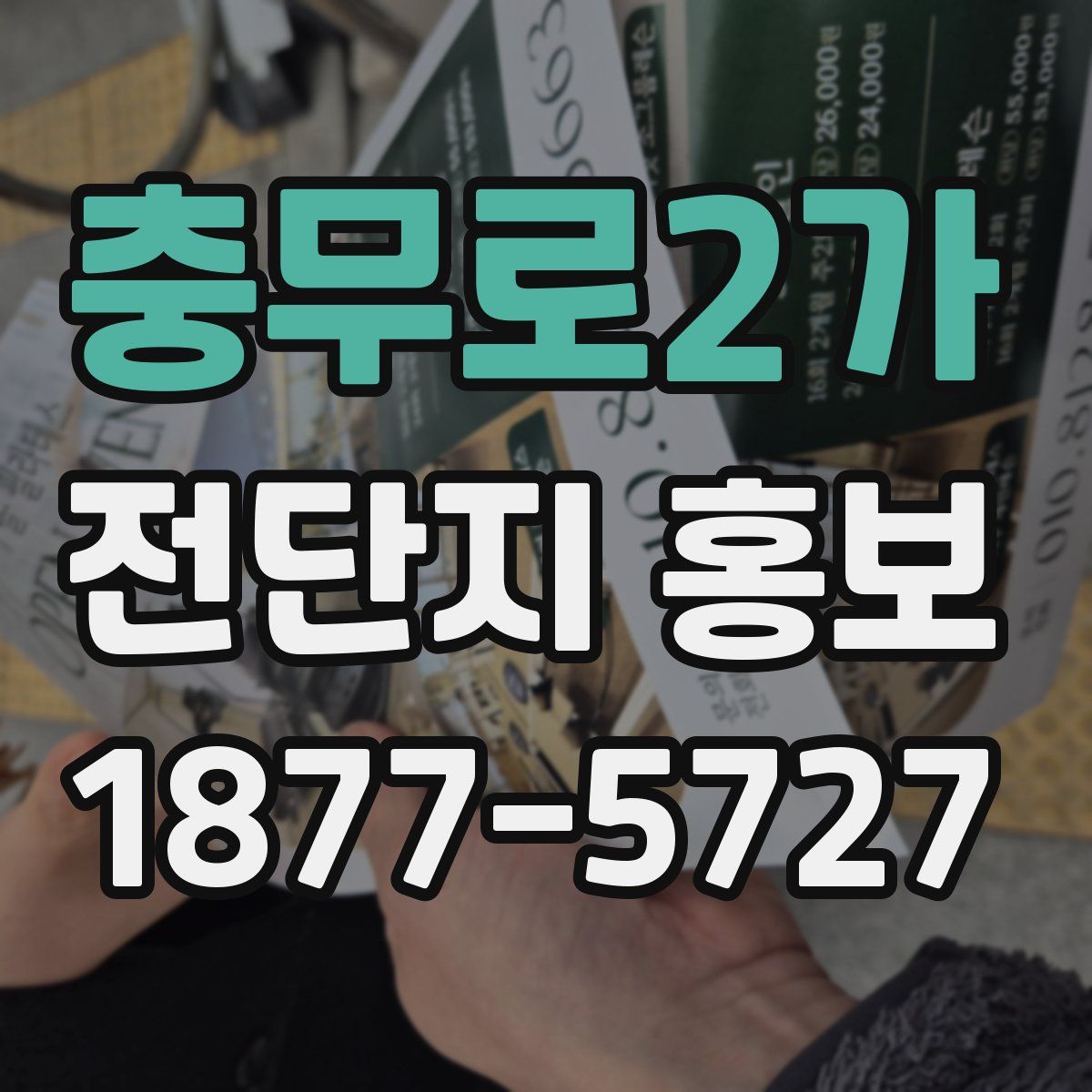 충무로2가 전단지 홍보