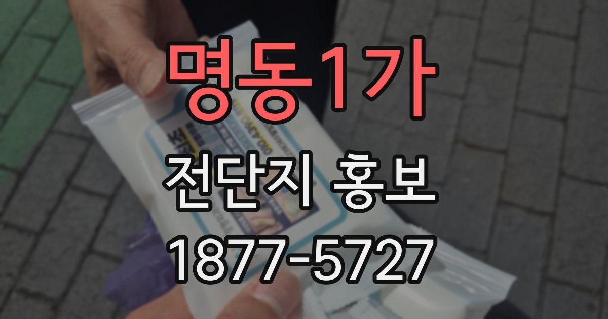 명동1가 전단지 홍보