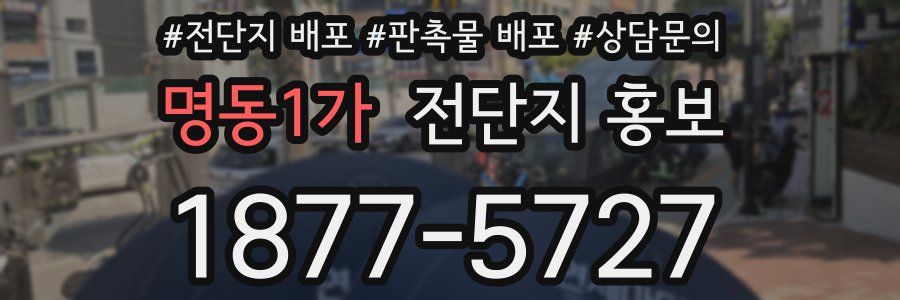 명동1가 전단지 홍보