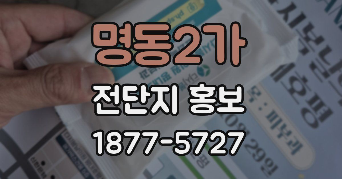 명동2가 전단지 홍보