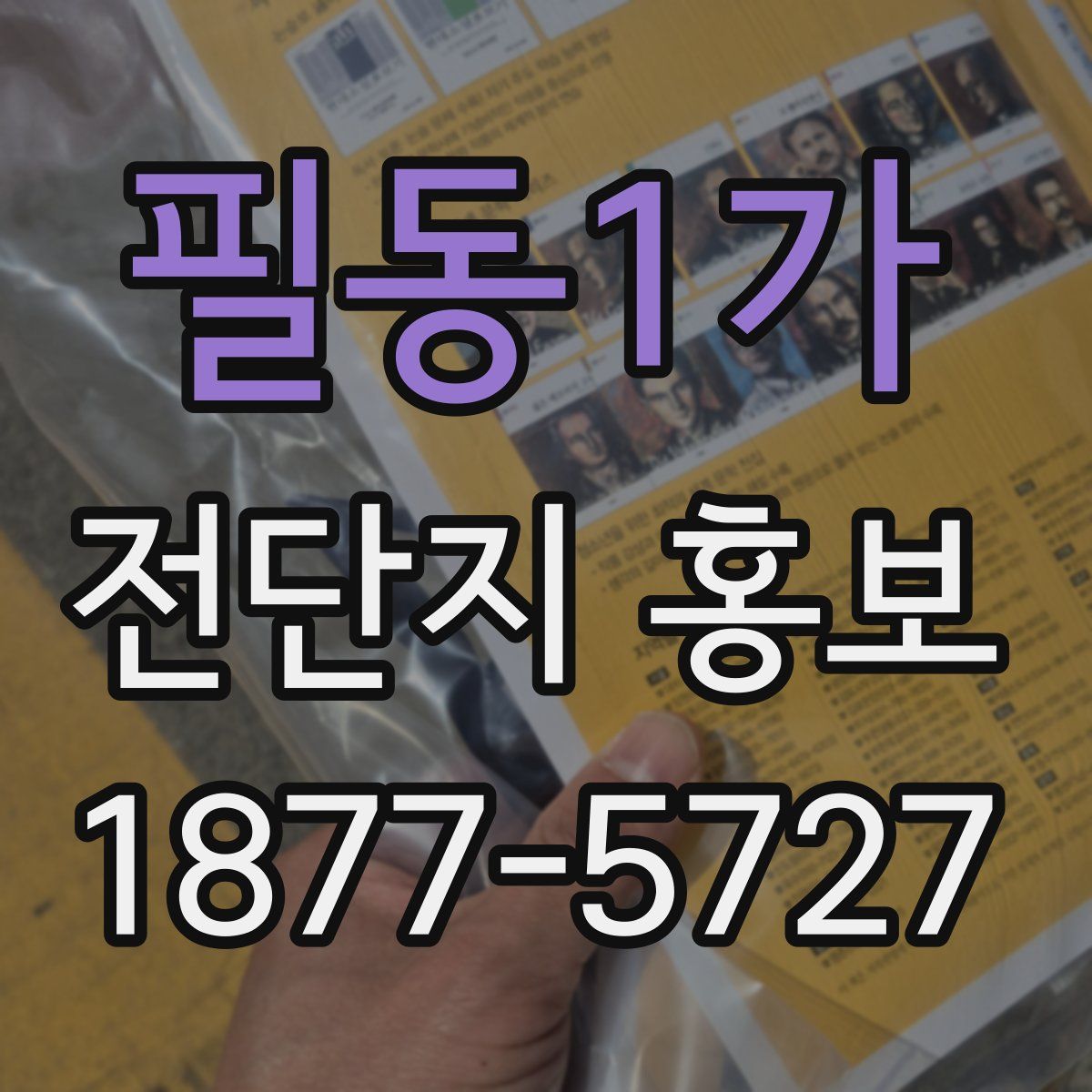 필동1가 전단지 홍보