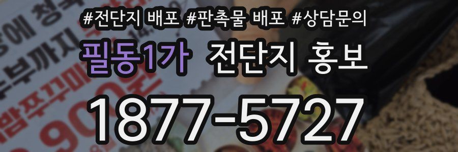 필동1가 전단지 홍보