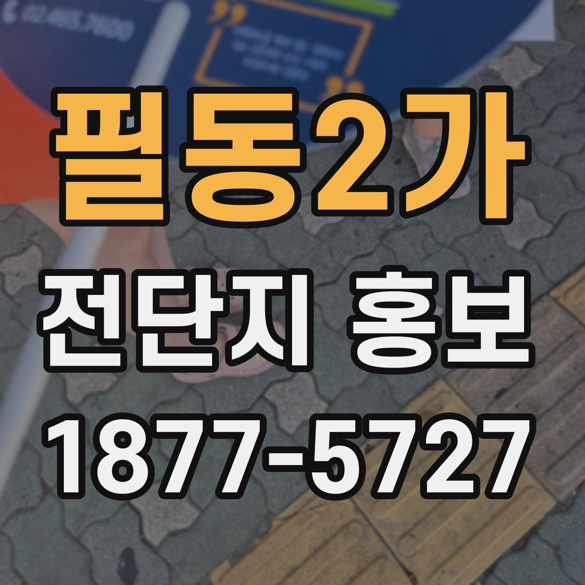 필동2가 전단지 홍보