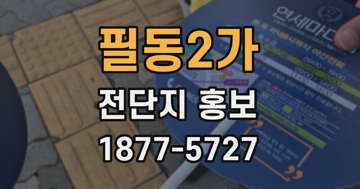 필동2가 전단지 홍보