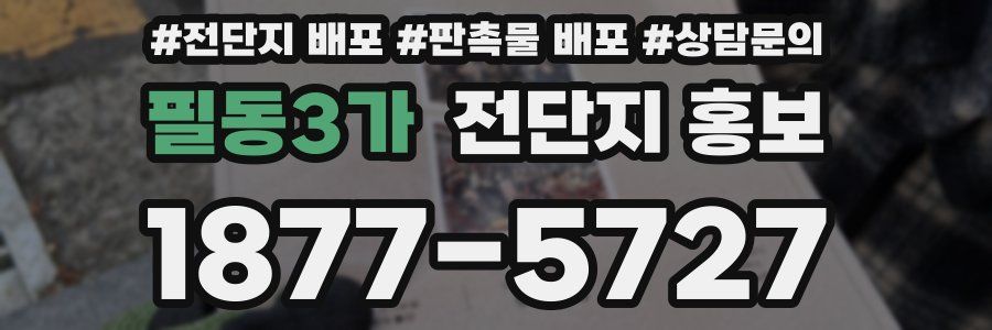 필동3가 전단지 홍보
