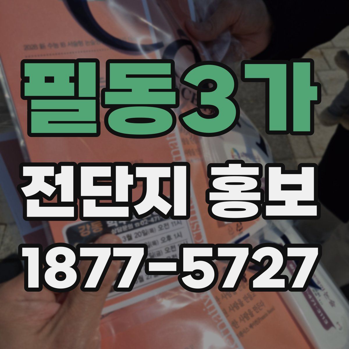 필동3가 전단지 홍보
