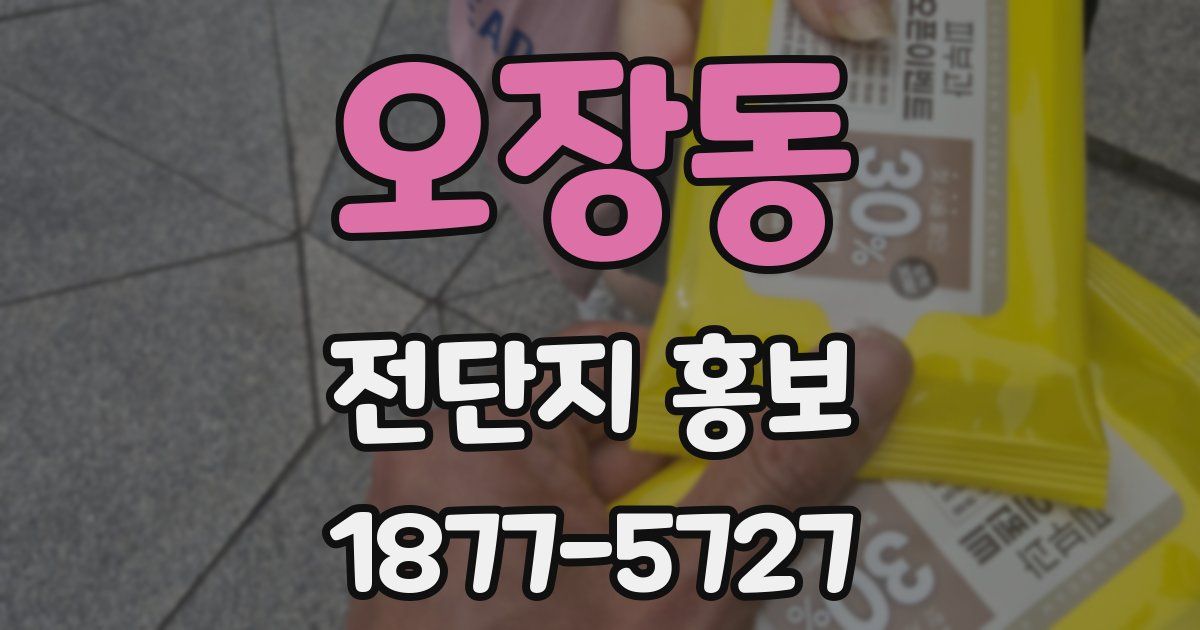 오장동 전단지 홍보